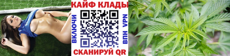 МЕФ Любим
