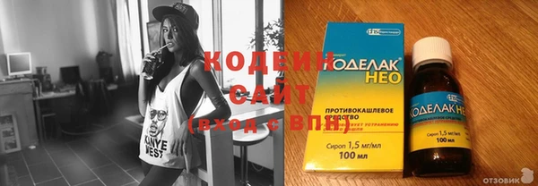 хмурый Алзамай