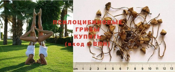 хмурый Алзамай
