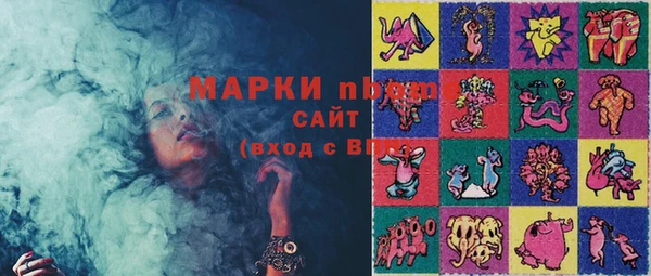 хмурый Алзамай