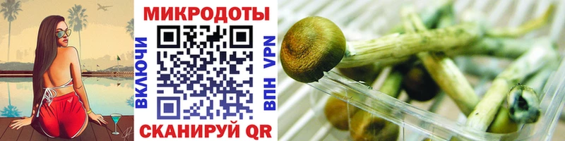 Галлюциногенные грибы Cubensis  купить наркоту  Любим 